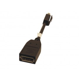Adaptateur Mini DisplayPort vers DisplayPort