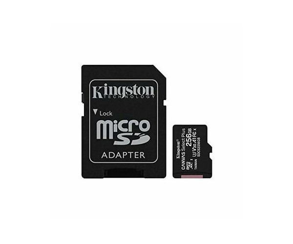 KINGSTON Carte micro SD avec adaptateur - 256 Go